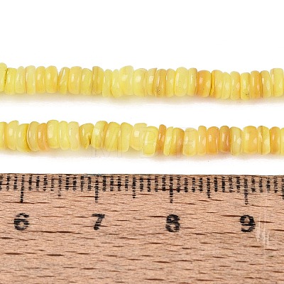 Natural Freshwater Shell Beads Strands SHEL-Q028-01C-1