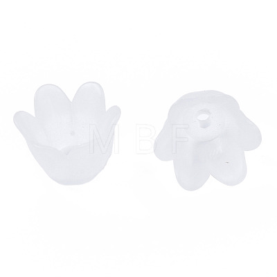 Transparent Acrylic Bead Caps FACR-N005-002-1
