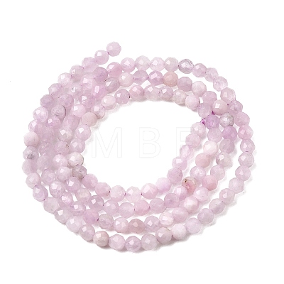 Natural Kunzite Beads Strands G-G343-B04-3mm-1