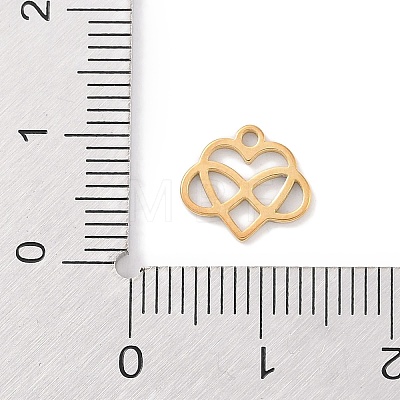 304 Stainless Steel Charms STAS-K286-01A-G-1
