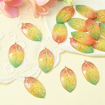 Transparent Acrylic Pendants TACR-YW0001-87A-1