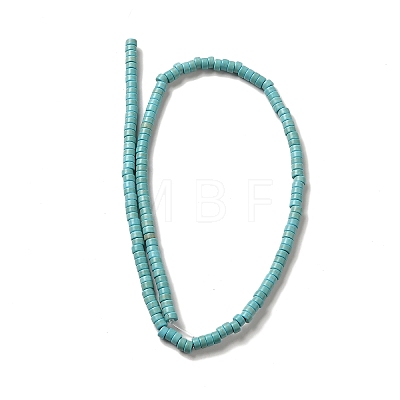 Synthetic Turquoise Dyed Beads Strands G-E594-20A-1