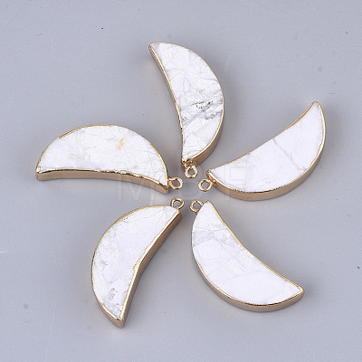 Electroplate Natural Howlite Pendants G-S344-88I-1