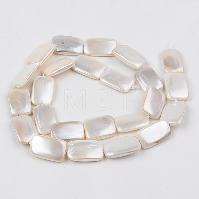 Electroplate Natural Freshwater Shell Beads Strands SHEL-R049-027C-1