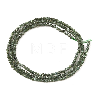 Natural Seraphinite Beads Strands G-K376-A02-2mm-1