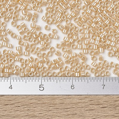 MIYUKI Delica Beads X-SEED-J020-DB1561-1