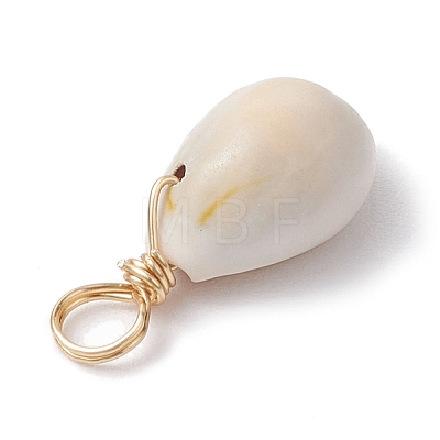 Natural Cowrie Shell Pendants PALLOY-JF02681-01-1