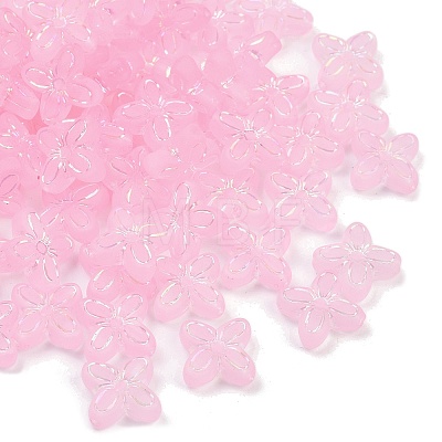 Frosted Transparent Acrylic Beads OACR-P029-09B-01-1