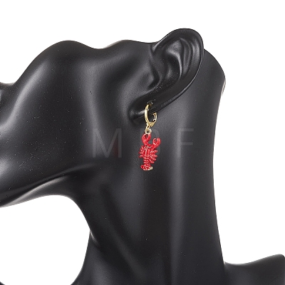 2 Pairs Zinc Alloy Leverback Earrings EJEW-JE06911-1