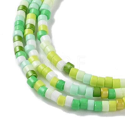 Handmade Czech Lampwork Beads Strands LAMP-L078-008A-1