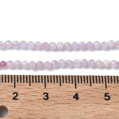 Natural Kunzite/Spodumene Beads Strands G-L651-C12-2mm-02-1