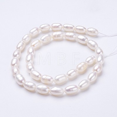 Natural Cultured Freshwater Pearl Beads Strands PEAR-P002-23-1