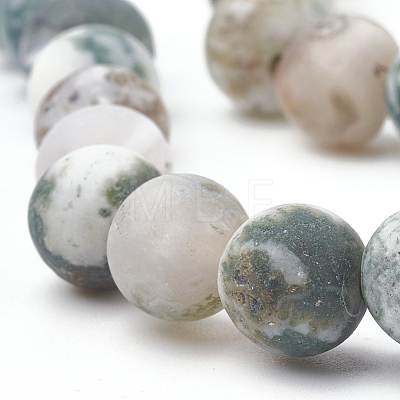 Natural Tree Agate Beads Strands G-T106-037-1