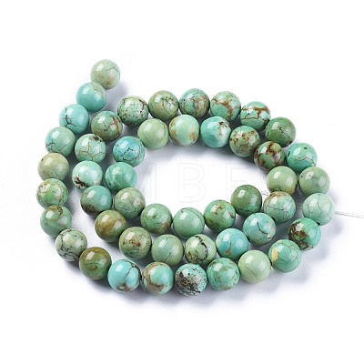 Natural Magnesite Beads Strands TURQ-F017-02-8mm-1