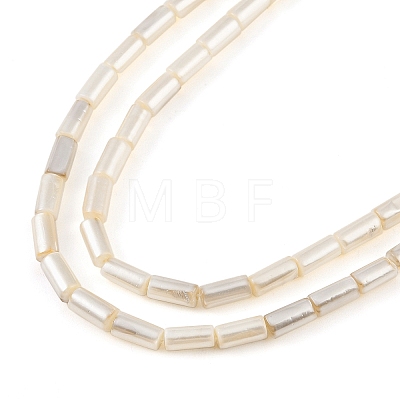 Electroplated Natural Freshwater Shell Beads Strands BSHE-G036-23-1