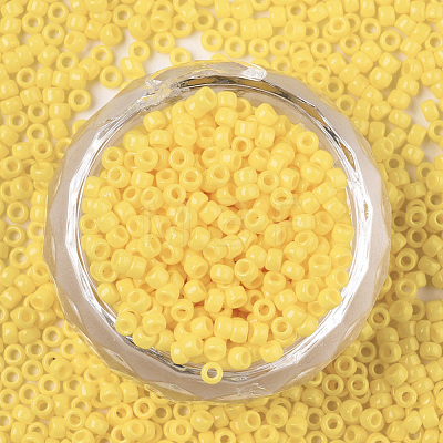 Baking Paint Glass Seed Beads X-SEED-S042-05A-06-1