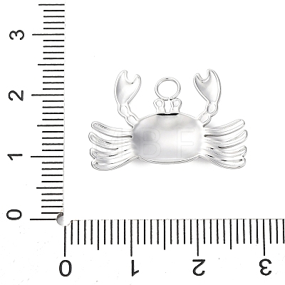 Non-Tarnish 304 Stainless Steel Pendants STAS-E182-08P-1