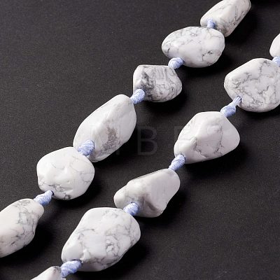 Natural Howlite Beads Strands G-B024-07-1