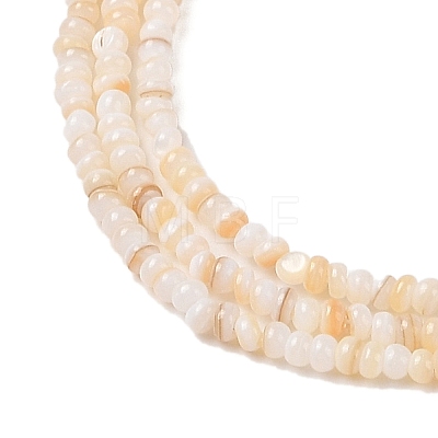 Natural Freshwater Shell Beads Strands SHEL-P017-01A-10-1