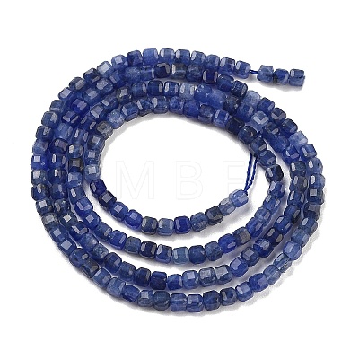 Natural Sodalite Beads Strands G-H042-B08-01-1