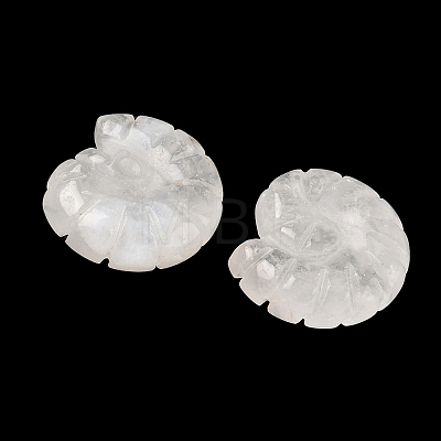 Natural Quartz Crystal Conch Display Decorations DJEW-D303-01E-1