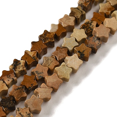 Natural Picture Jasper Beads Strands G-G085-B20-01-1