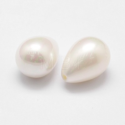 Rainbow Plated Shell Pearl Beads BSHE-L032-02-1