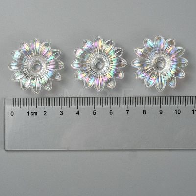 Transparent Acrylic Beads TACR-R14-9-1