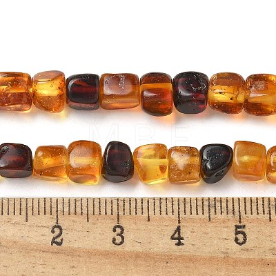 Natural Amber Beads Strands G-K387-E02-01-1