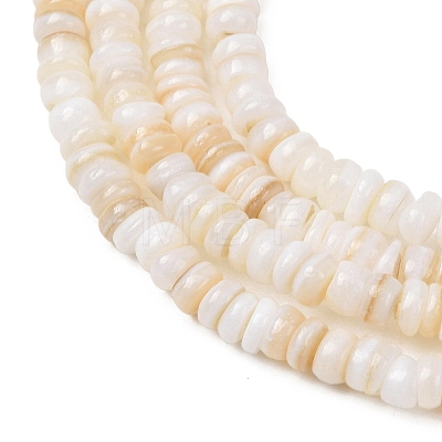 Natural Freshwater Shell Beads Strands SH-CBA2978-05A-1