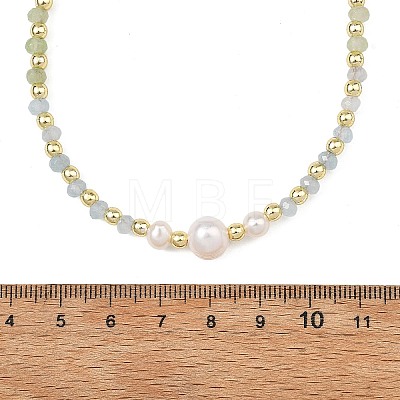 Gradient Color Gemstone & Natural Cultured Freshwater Pearl Beaded Necklaces NJEW-JN06316-03-1