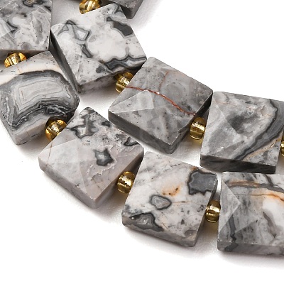 Natural Map Stone Beads Strands G-F839-A32-01-1