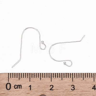 925 Sterling Silver Earring Hooks X-STER-G011-13-1
