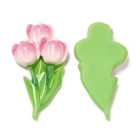 Opaque Resin Cabochons RESI-G072-04A-1