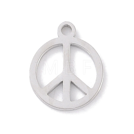Non-Tarnish 304 Stainless Steel Charms STAS-K286-01B-P-1