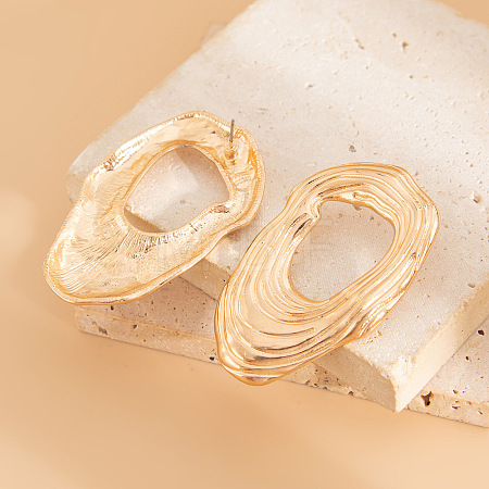 Nuggets Alloy Stud Earrings FS-WG3D023-01-1