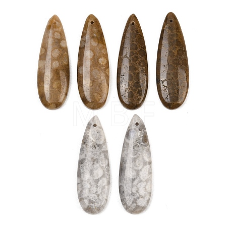 Natural Fossil Coral Pendants G-B187-01C-05-1