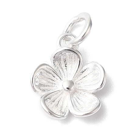 925 Sterling Silver Charms STER-M120-01D-S-1