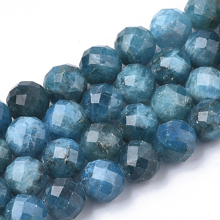Natural Apatite Beads Strands G-S345-4mm-008-1