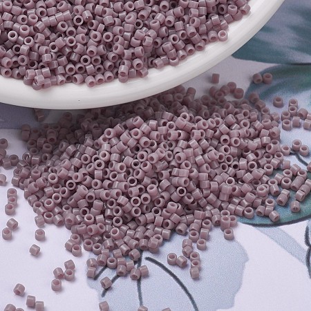 MIYUKI Delica Beads Small SEED-X0054-DBS0728-1