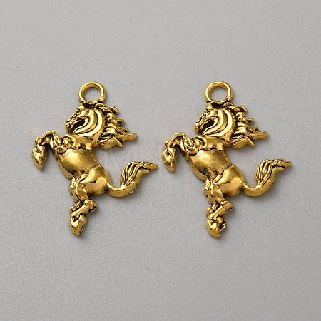 Tibetan Style Alloy Pendants FIND-WH0126-544AG-1