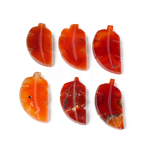 Natural Carnelian Home Display Decorations G-PW0004-31-1