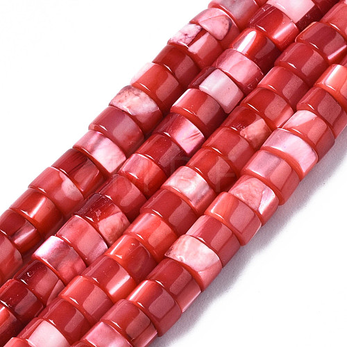 Natural Trochus Shell Beads Strands SHEL-S278-027D-1