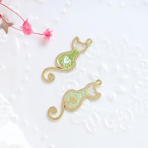 Alloy Enamel Pendants INS-PW0002-06A-02-1