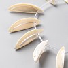 Natural Freshwater Shell Beads Strands SHEL-C001-02-3