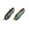 304 Stainless Steel Pave Natural Paua Shell Stud Earring Findings STAS-Z125-02G-2