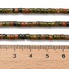 Natural Unakite Beads Strands G-P608-A10-01-5