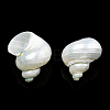 Natural Spiral Shell Beads SSHEL-N034-126-3