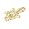 Alloy Pendants AL-CBAFCDA-10G-2