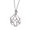 Crystal Holder Cage Necklace X-NJEW-JN04585-2